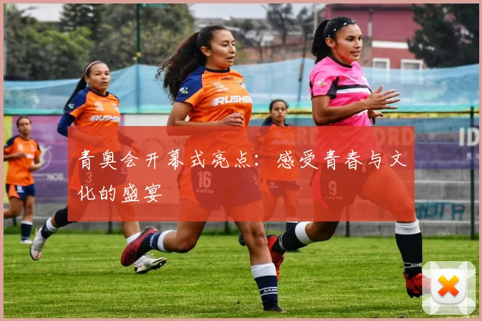青奥会开幕式亮点:感受青春与文化的盛宴